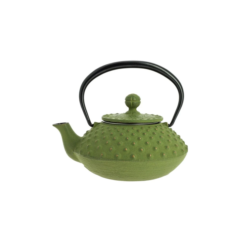 Théière japonaise en fonte Iwashu – Nenbu Tekki